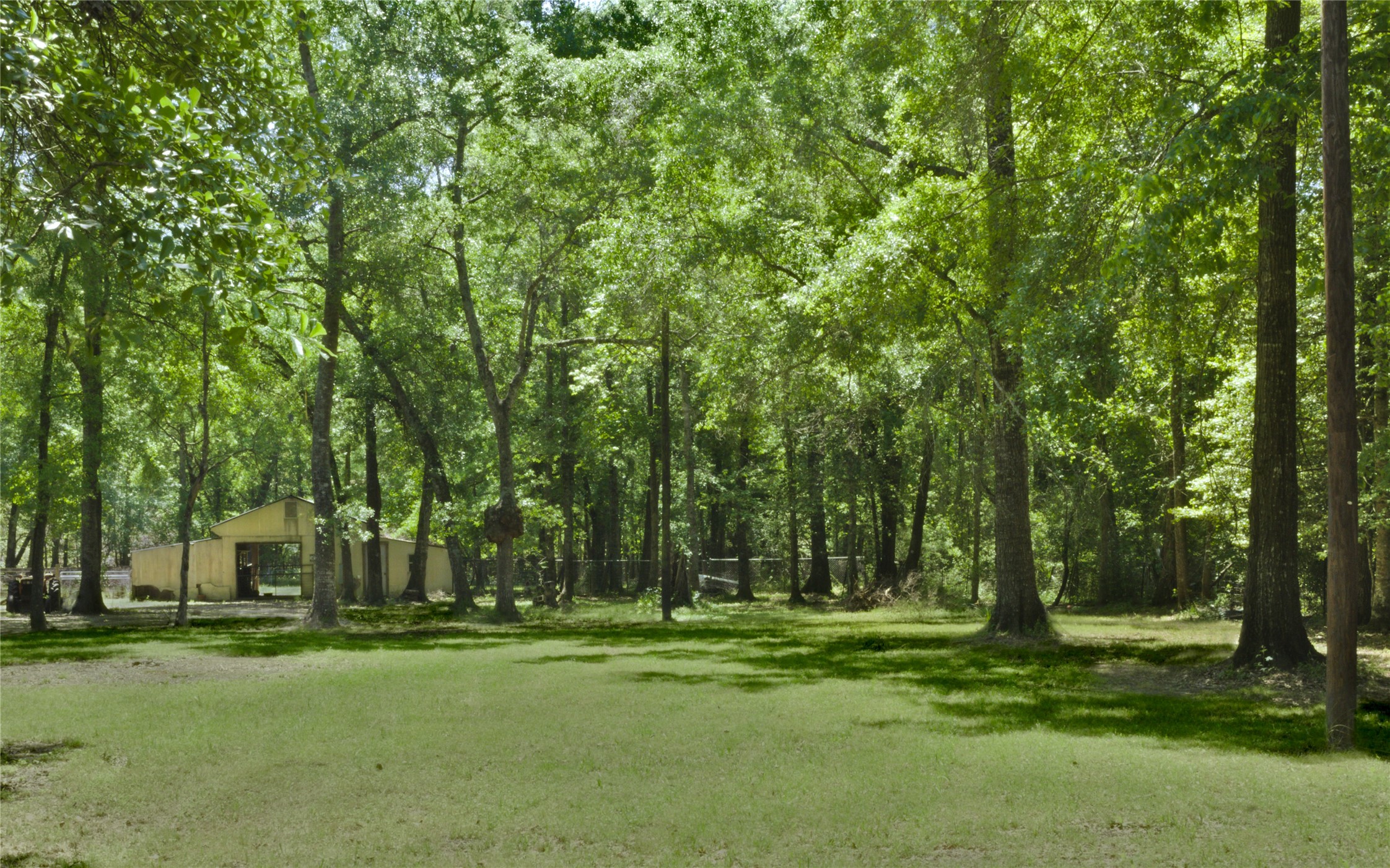 27894 East River Road Splendora, TX 77372 - Photo 4 of 12 a backyard of a house with swimming pool and large trees