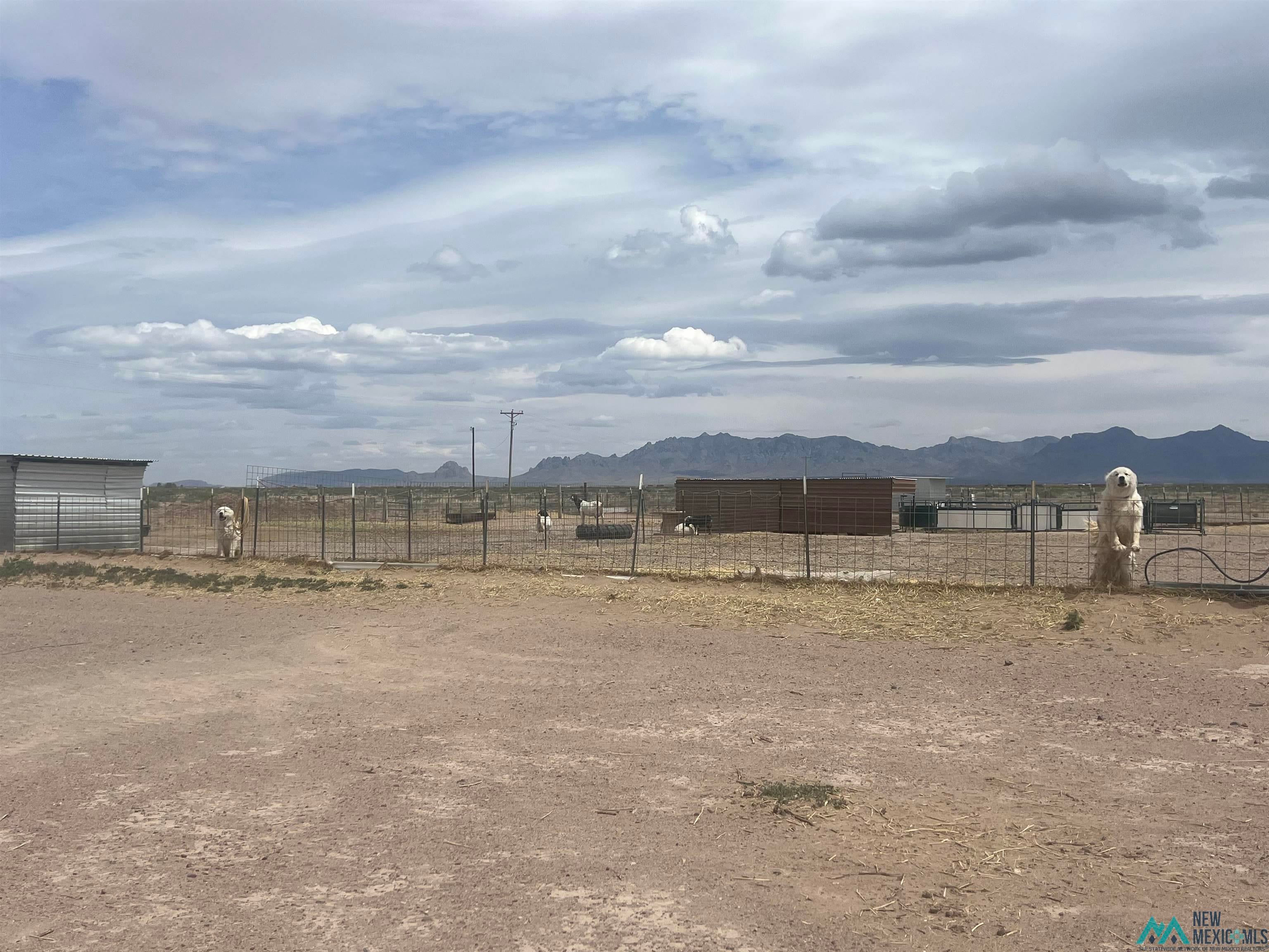 14006 Ciguena Road Southwest Deming, NM 88030 - Photo 25 of 49 View of yard featuring a mountain view and a view of countryside