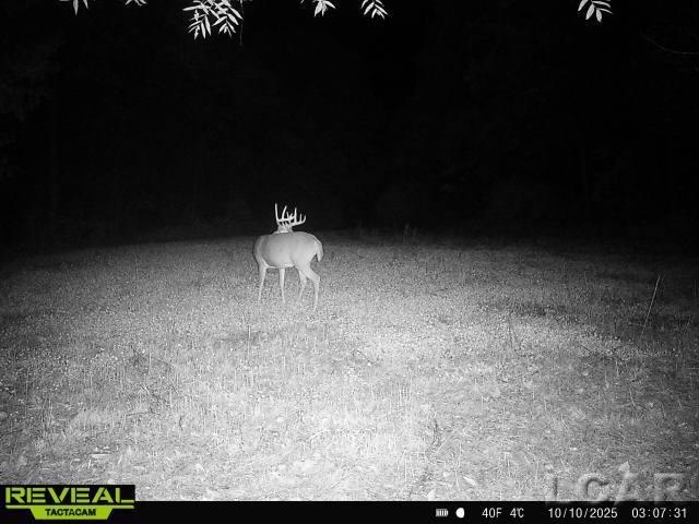 10000 Sheeler Road Onsted, MI 49265 - Photo 27 of 38 Gallery Image 27