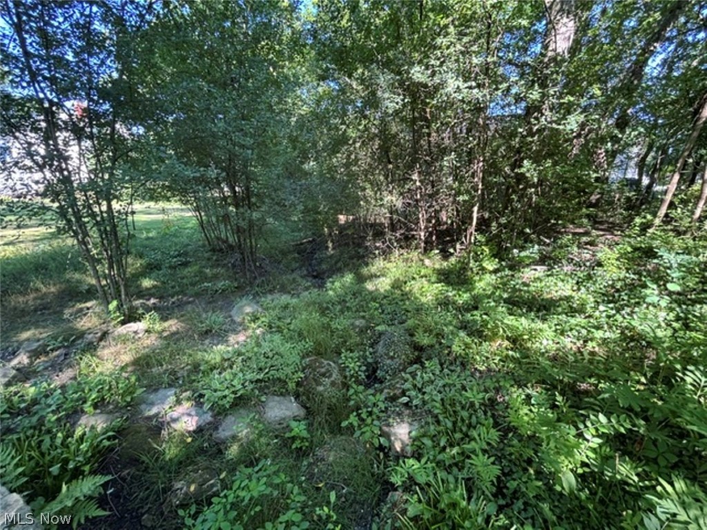 950 Merriman Road Akron, OH 44303 - Photo 30 of 32 Ravine off of South side of home