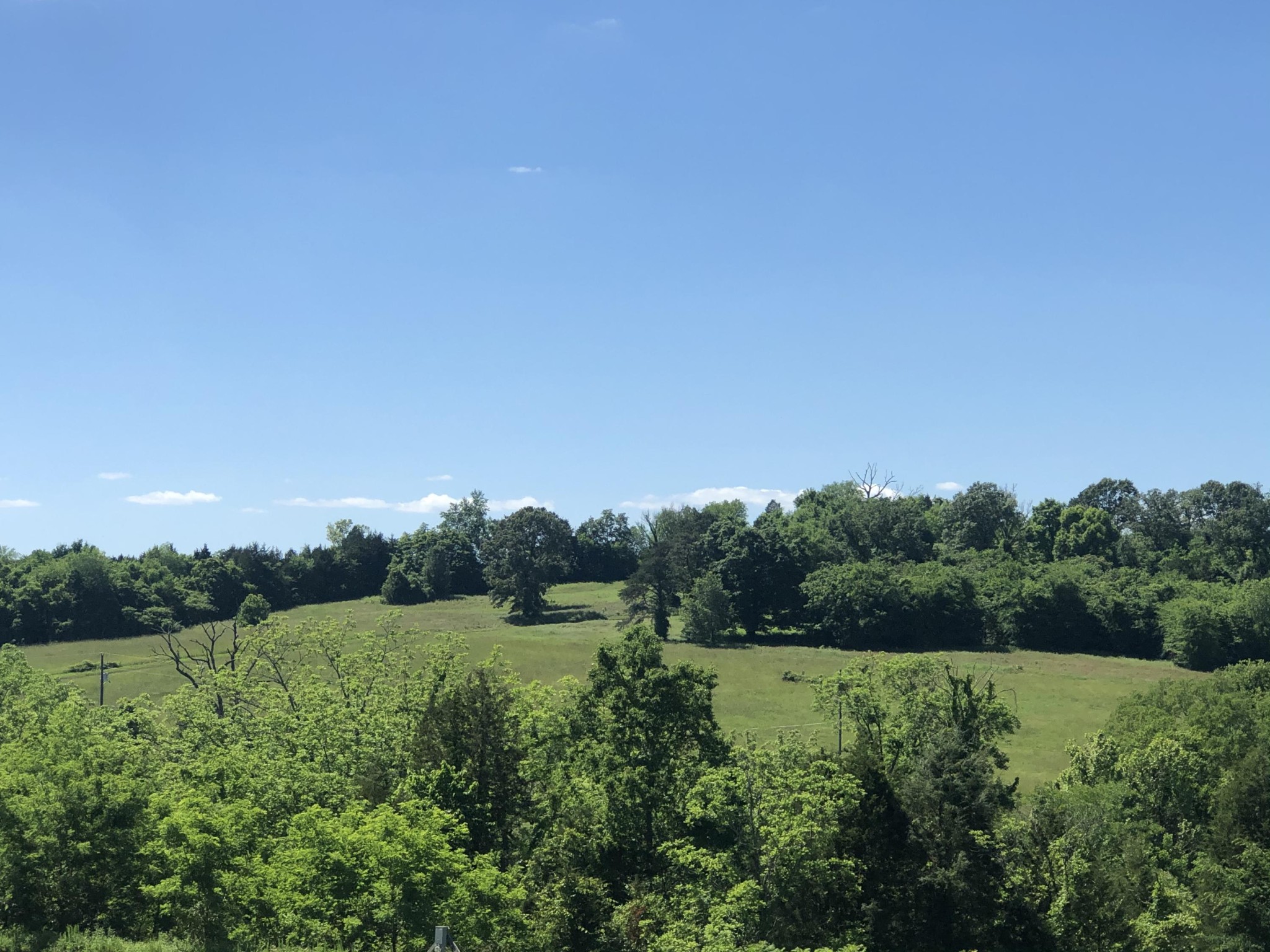 255 Clear Creek Road Kodak, TN 37764 - Photo 4 of 8 a view of a grassy field with trees