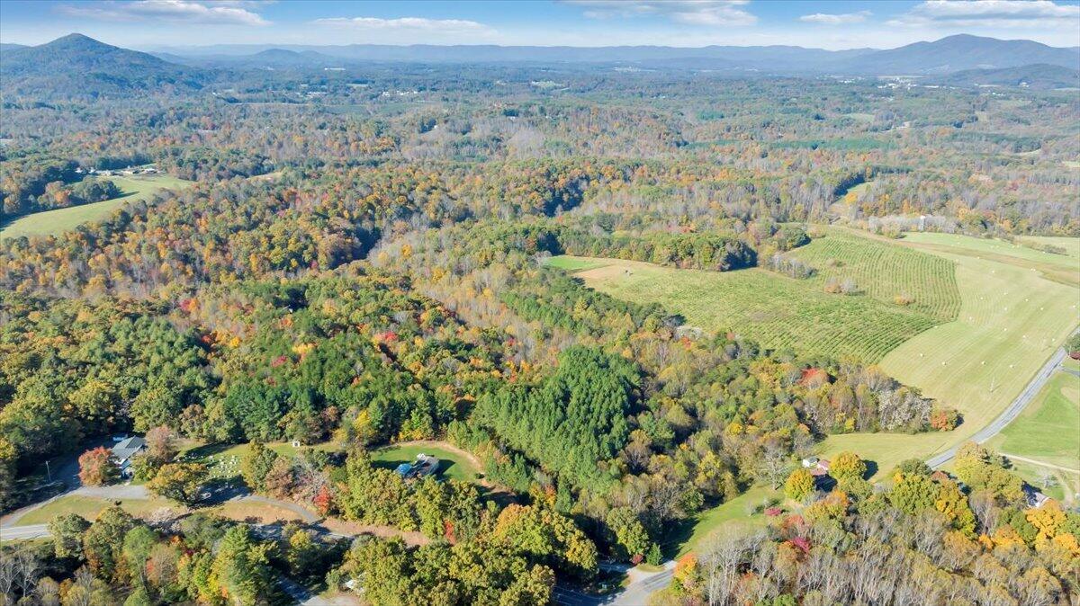 101 Angle Plantation Road Rocky Mount, VA 24151 - Photo 54 of 64 64-DJI_20241024102634_0023_D_MIB