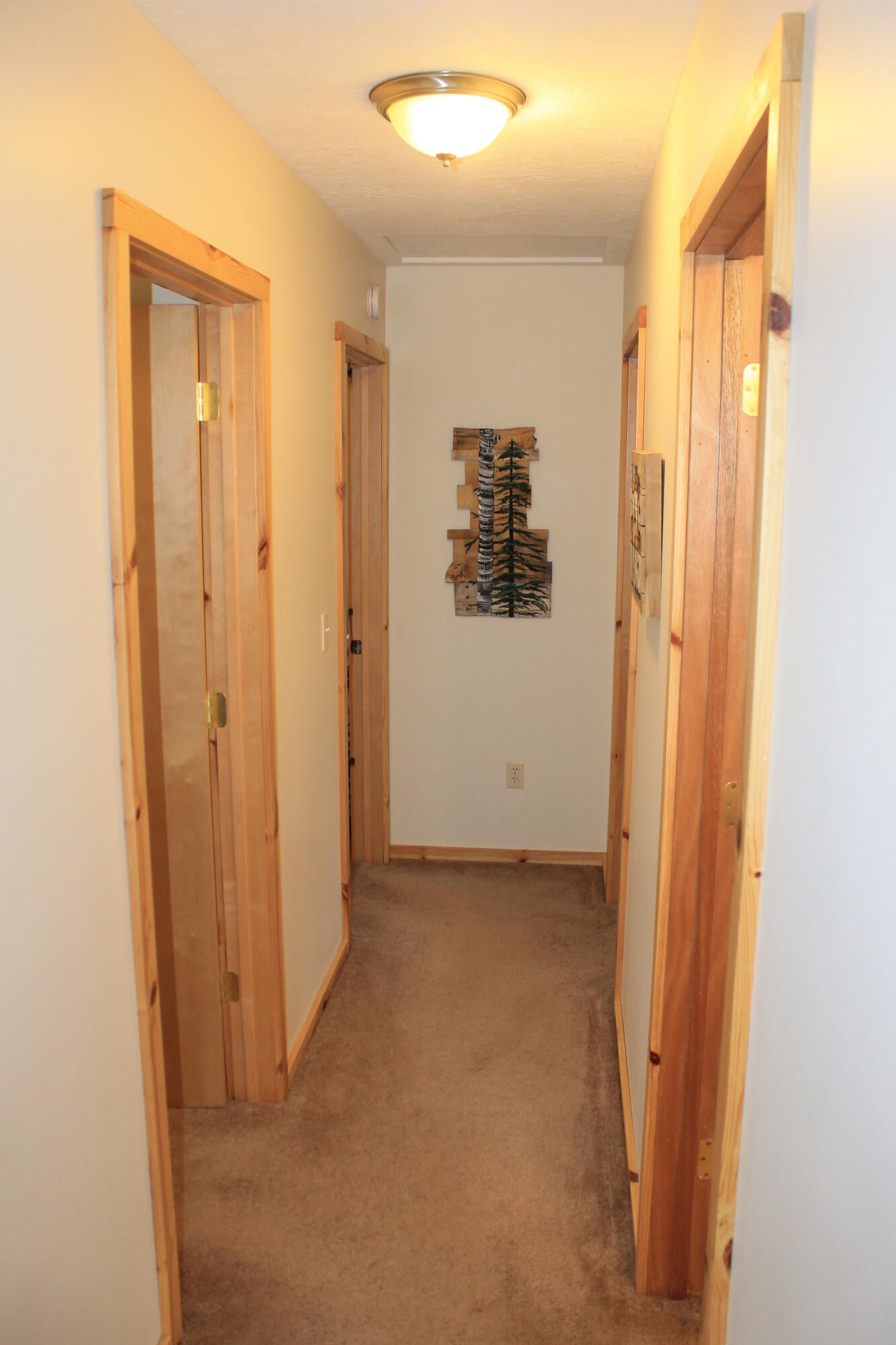 10575 Brush Road Roscommon, MI 48653 - Photo 11 of 33 Gallery Image 11