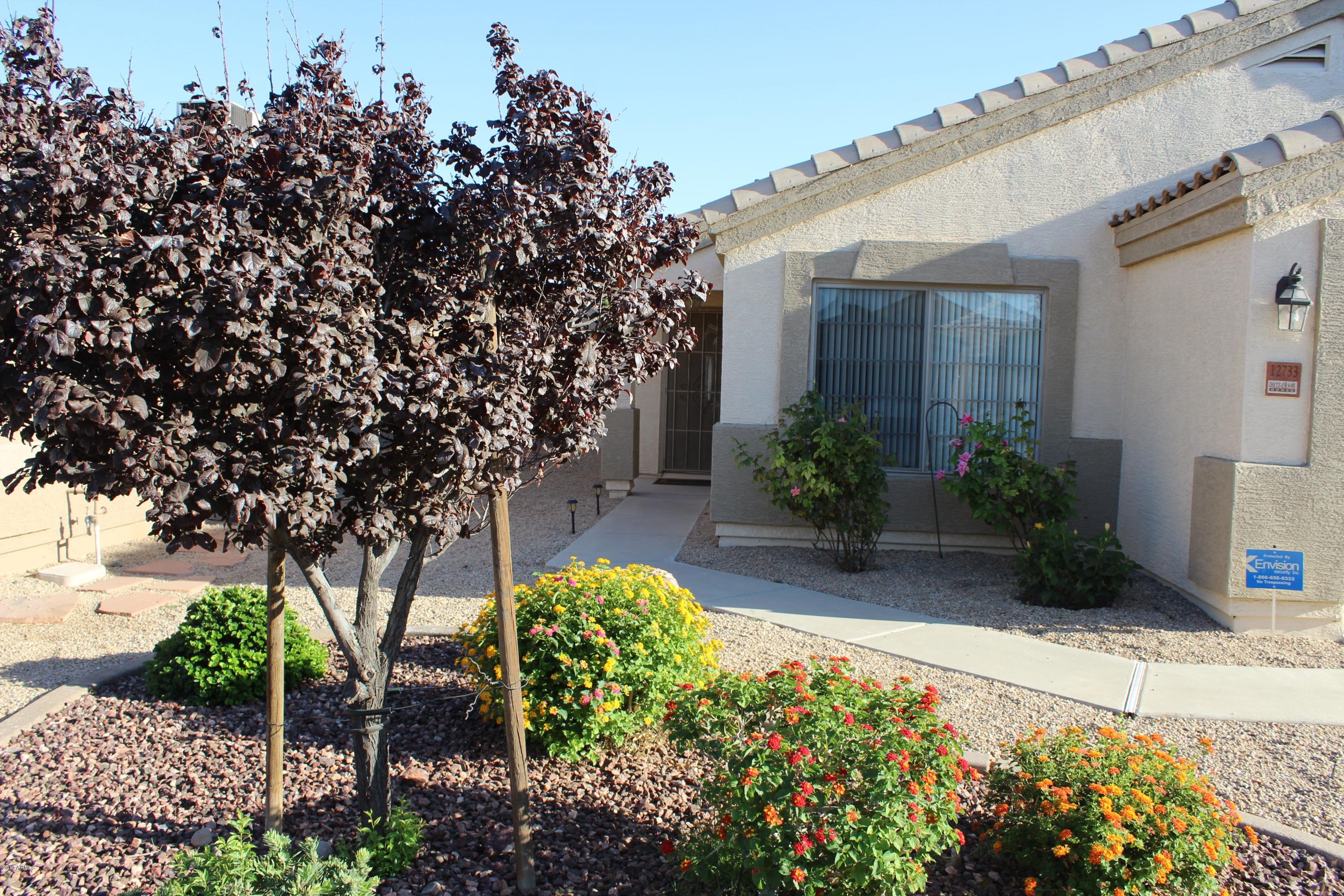 12733 West Redfield Road El Mirage, AZ 85335 - Photo 2 of 19 IMG_2976