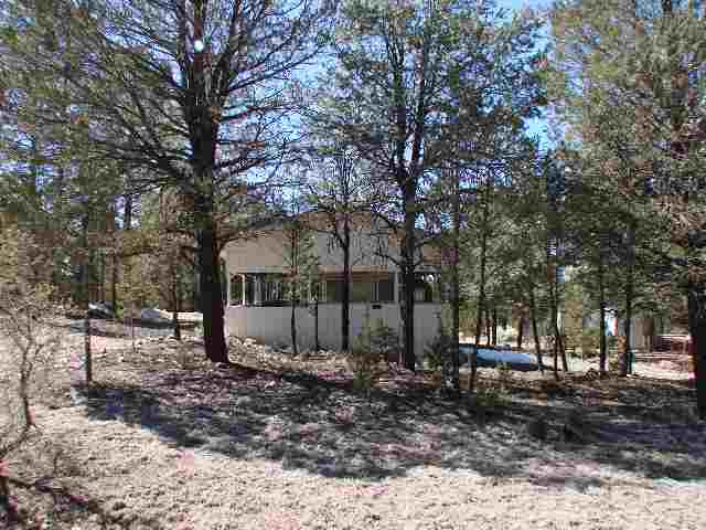 3320 Rim Lakes Drive Overgaard, AZ 85933 - Photo 2 of 5 Gallery Image 2