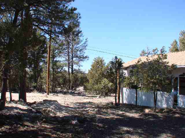 3320 Rim Lakes Drive Overgaard, AZ 85933 - Photo 5 of 5 Gallery Image 5