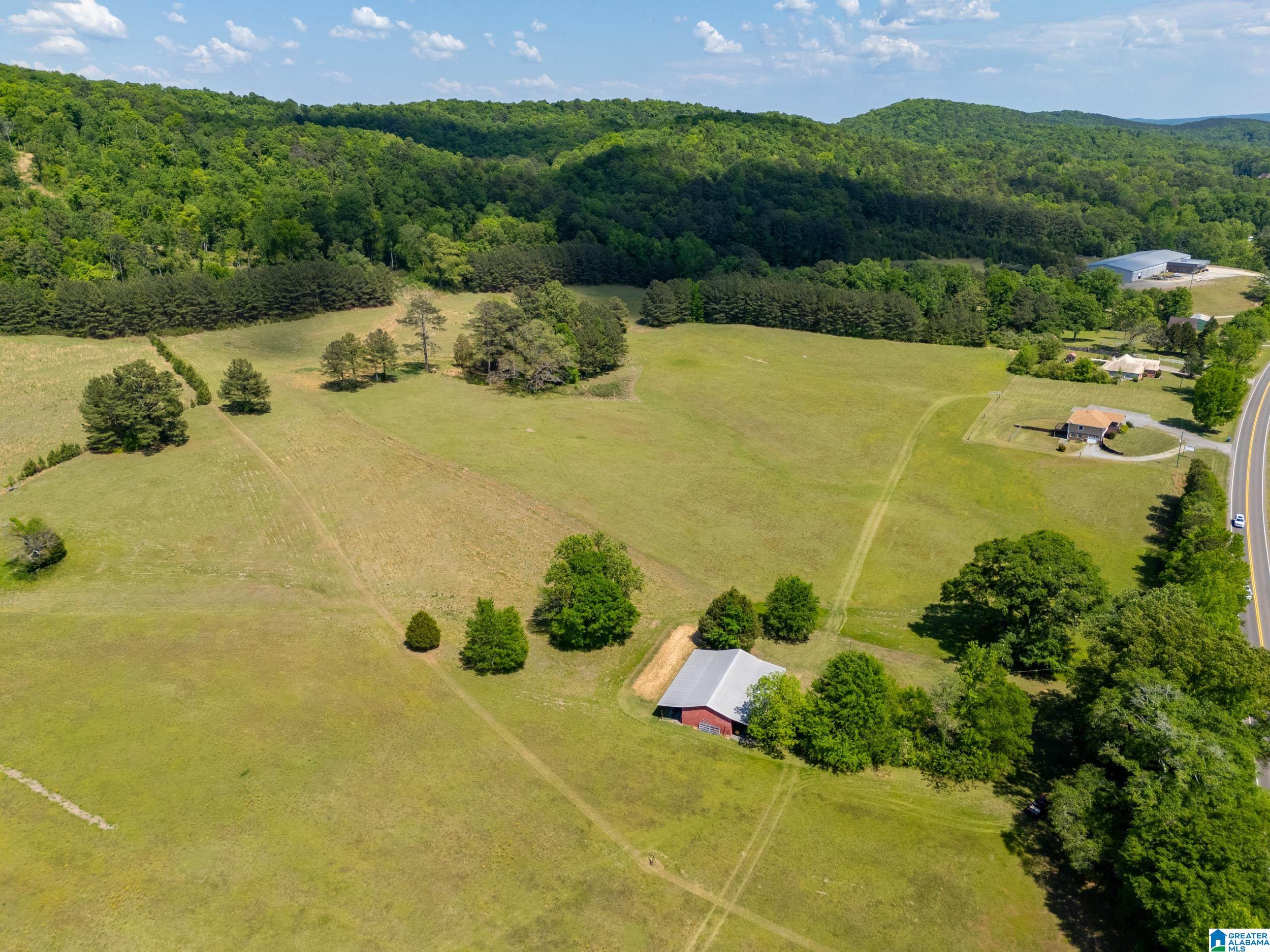 0 Highway 174, Unit 1 Springville, AL 35146 - Photo 6 of 14