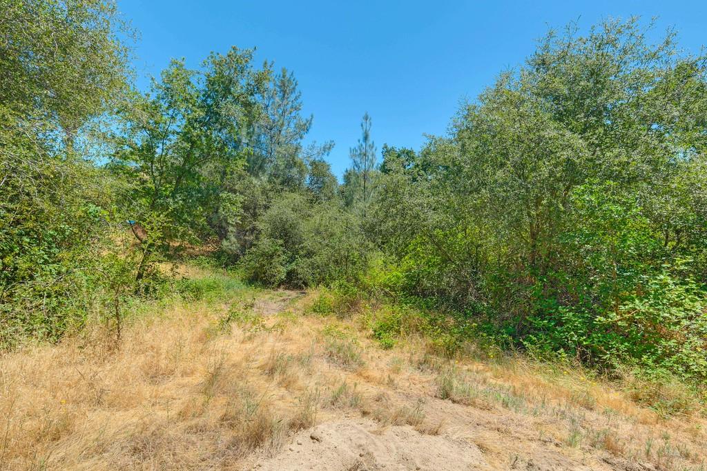 0 Indian Springs Road Loomis, CA 95650 - Photo 12 of 46