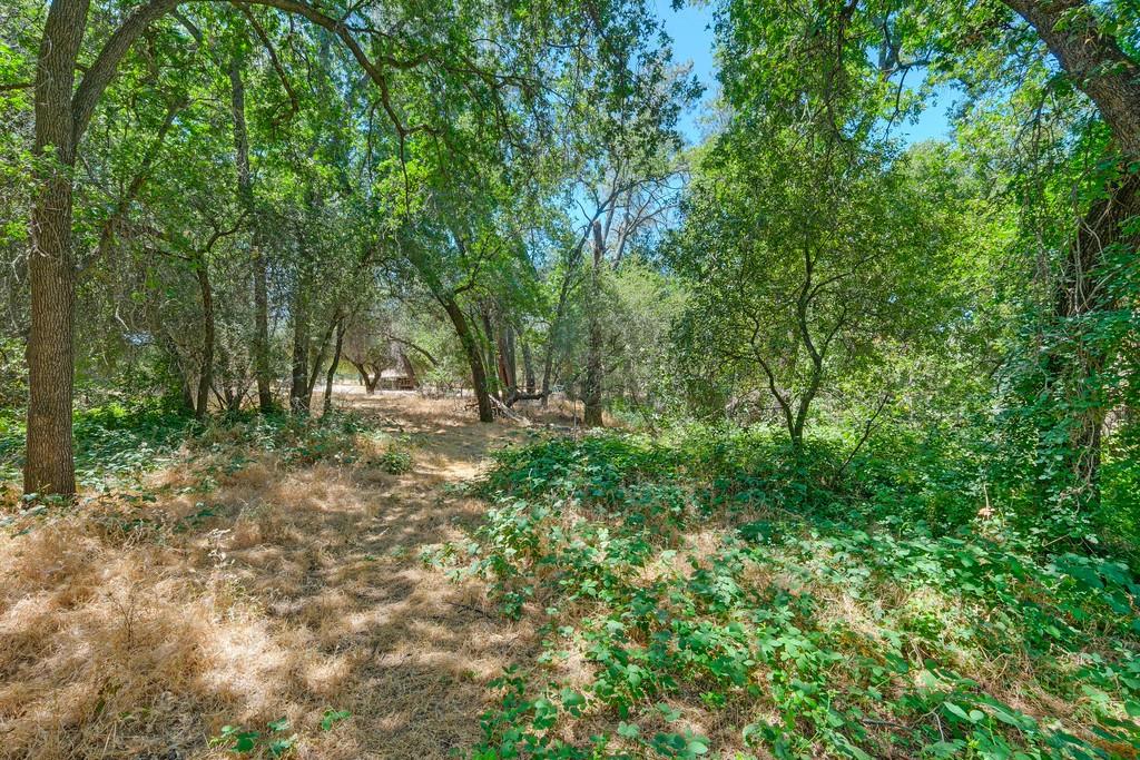 0 Indian Springs Road Loomis, CA 95650 - Photo 24 of 46