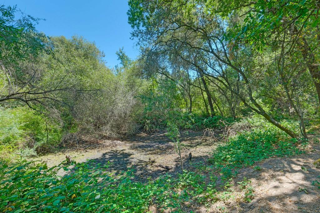 0 Indian Springs Road Loomis, CA 95650 - Photo 27 of 46