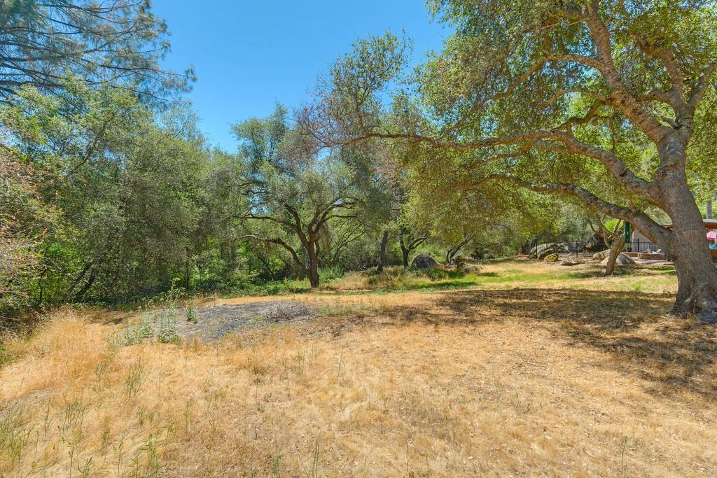 0 Indian Springs Road Loomis, CA 95650 - Photo 28 of 46