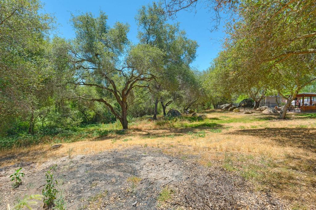 0 Indian Springs Road Loomis, CA 95650 - Photo 29 of 46