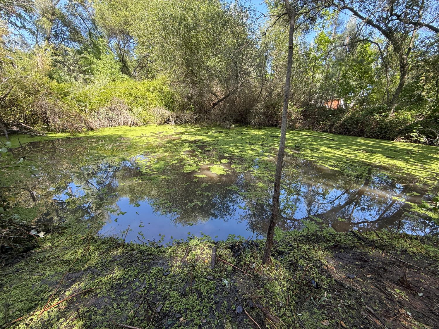 0 Indian Springs Road Loomis, CA 95650 - Photo 3 of 46