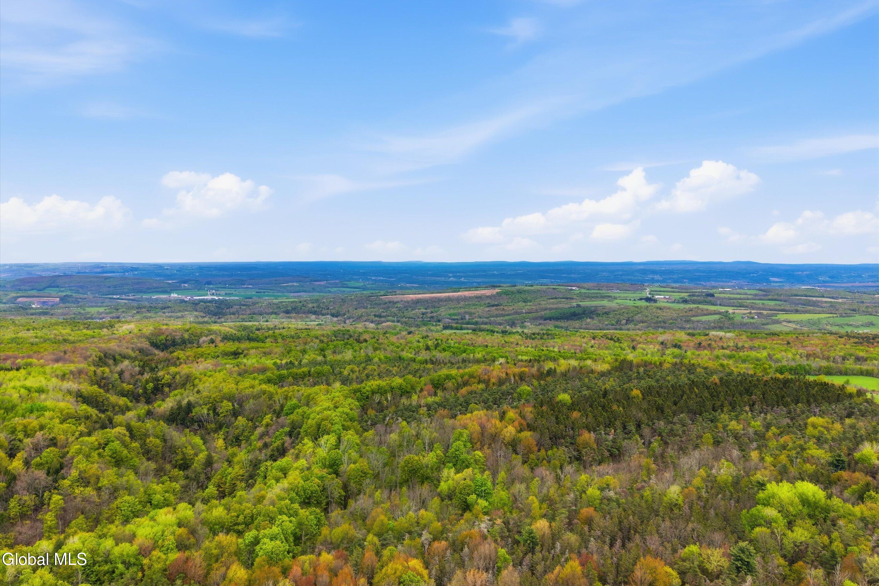 L27 Travis Road Fort Plain, NY 13339 - Photo 6 of 11 177.70 acre - Travis Rd lot