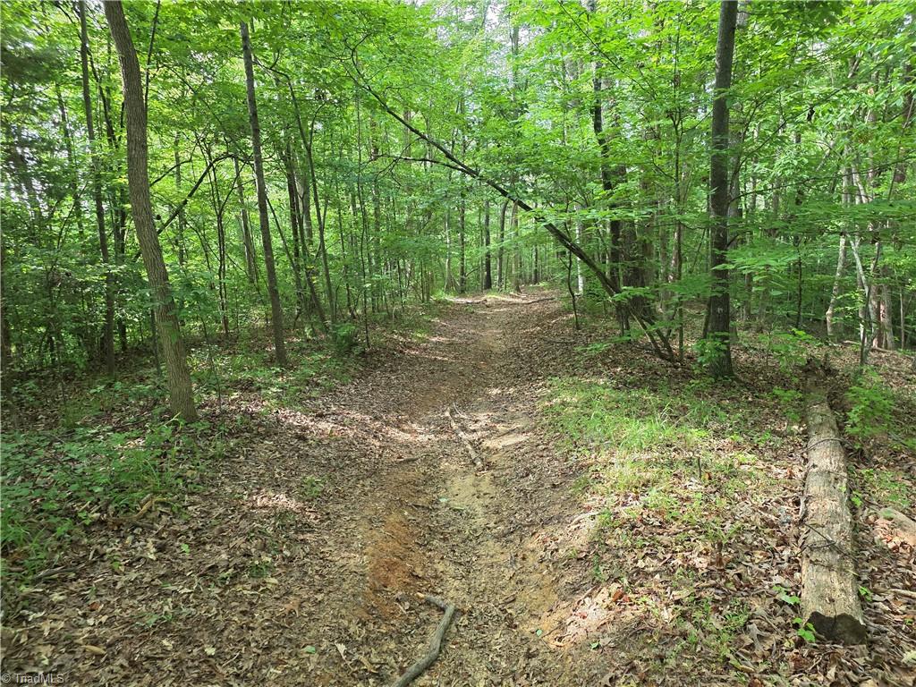 Xx 31.85-ac Xx 31.85-ac Hampton Road Germanton, NC 27019 - Photo 12 of 33