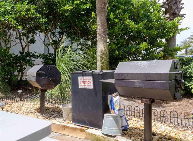 a view of a backyard with large trees