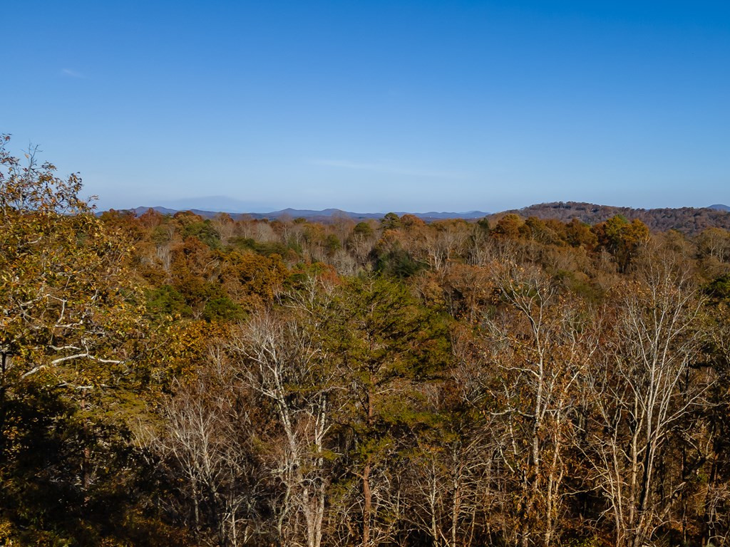 180 Mountain Tops Circle Blue Ridge, GA 30513 - Photo 47 of 47