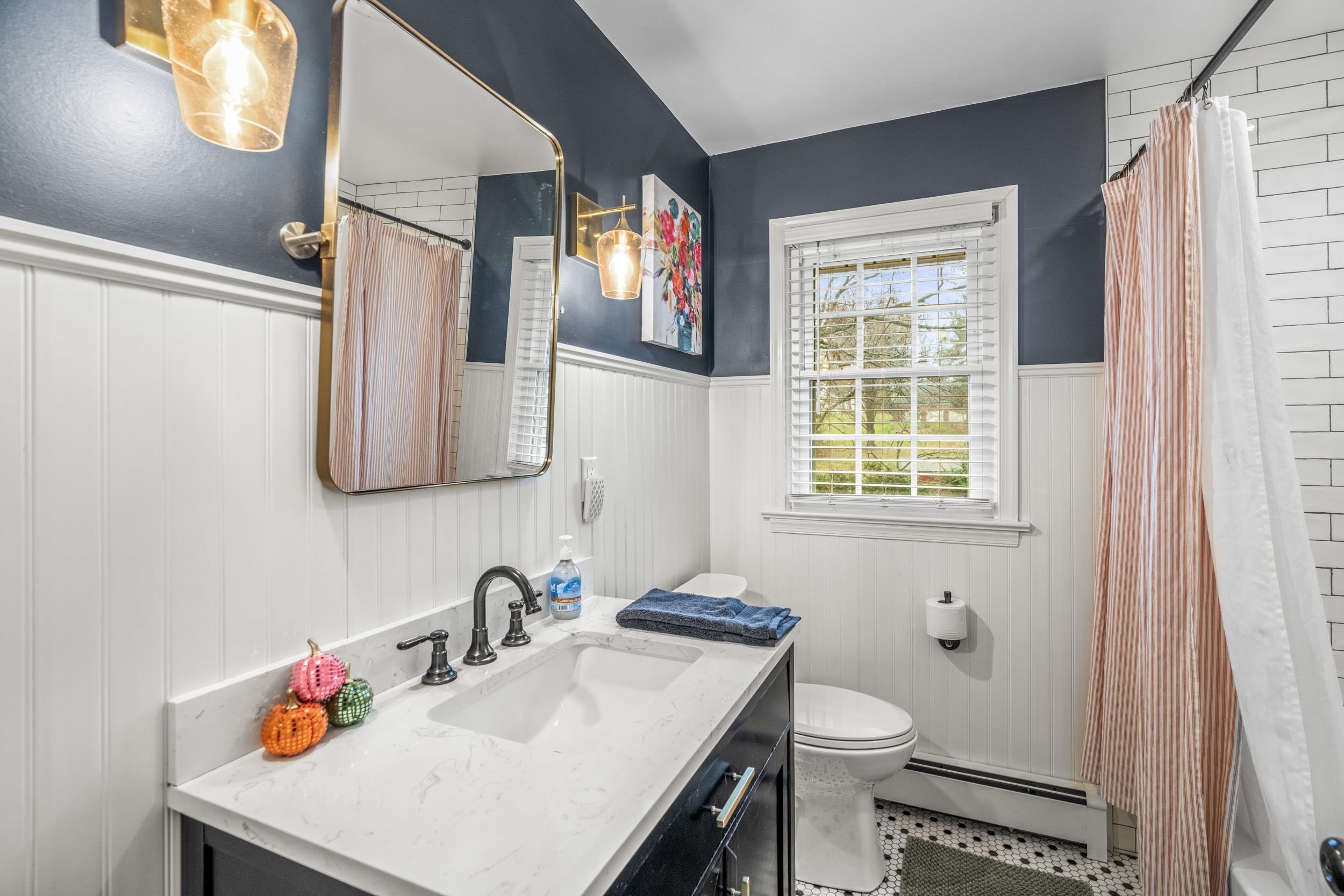 1220 Chatham Road Waynesboro, VA 22980 - Photo 46 of 64 a bathroom with a sink toilet and a window