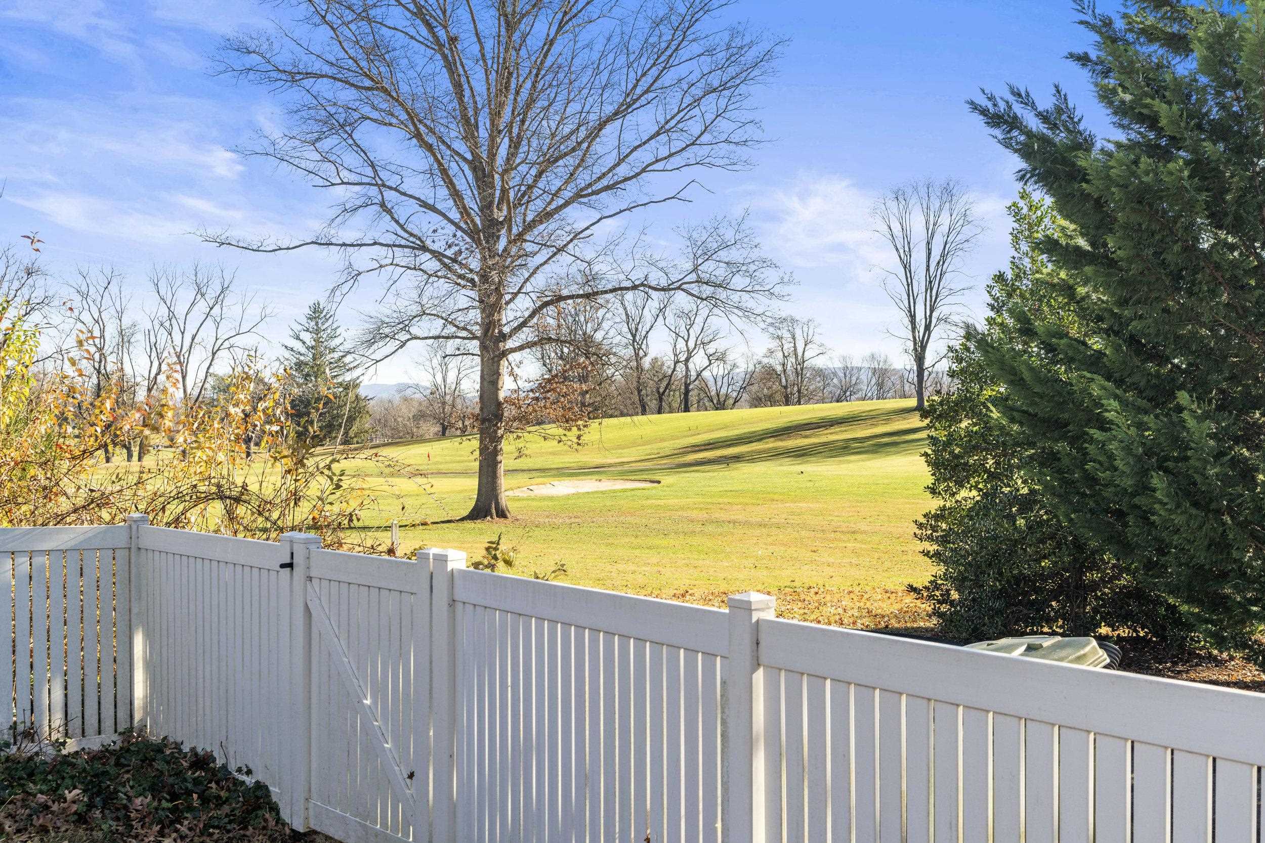 1220 Chatham Road Waynesboro, VA 22980 - Photo 10 of 64 golf course view