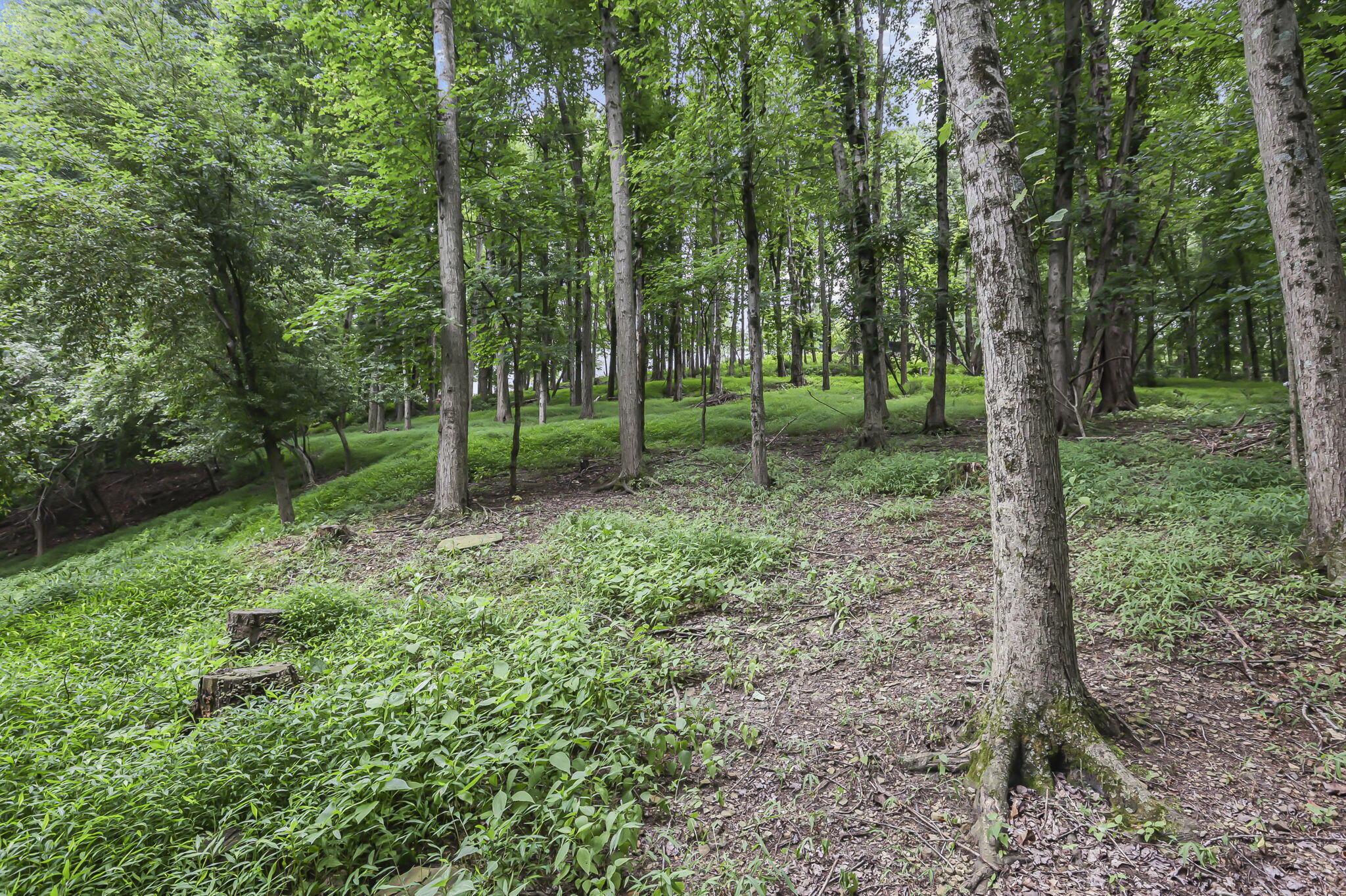 4000 Milner Road Northeast Newark, OH 43055 - Photo 54 of 56 28-web-or-mls-0V3A8970