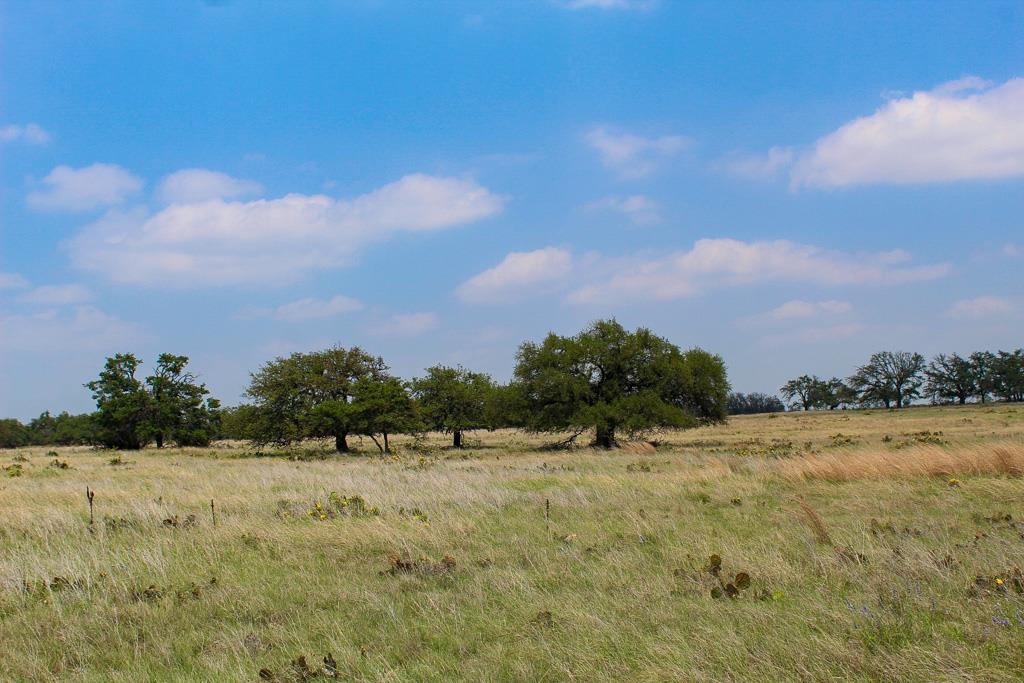 a view of large field with trees in background