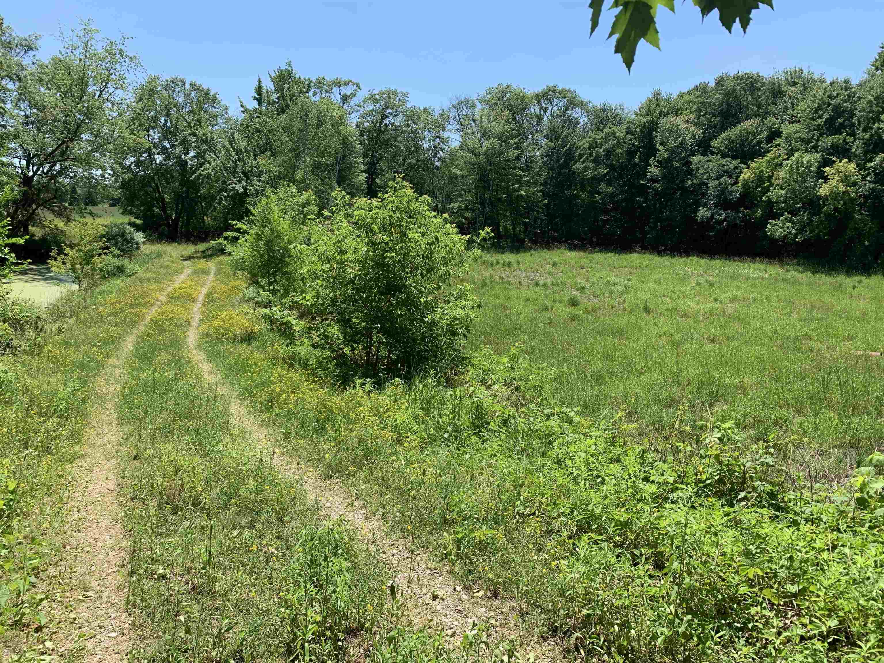 2001 Highway 54 Waupaca, WI 54981 - Photo 2 of 11