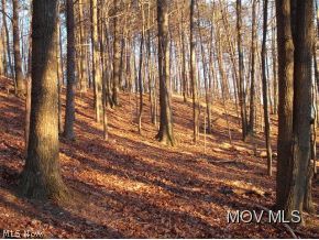 0 Shaves Run Road Cairo, WV 26337 - Photo 3 of 7