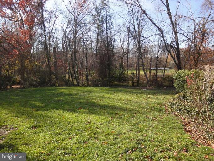 3611 Colony Road Fairfax, VA 22030 - Photo 4 of 24 Back yard