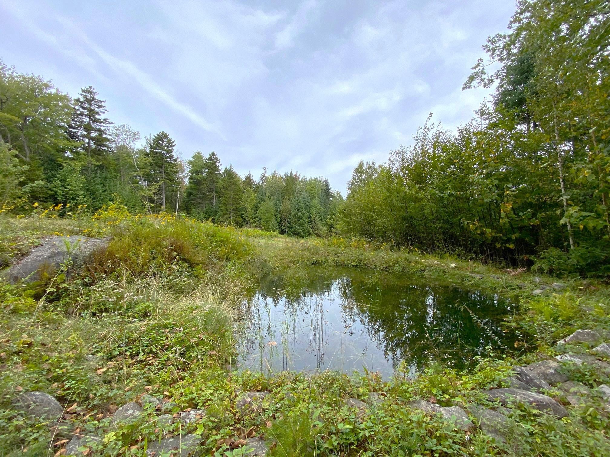 64 S Road Lempster, NH 03605 - Photo 2 of 8 Gallery Image 2