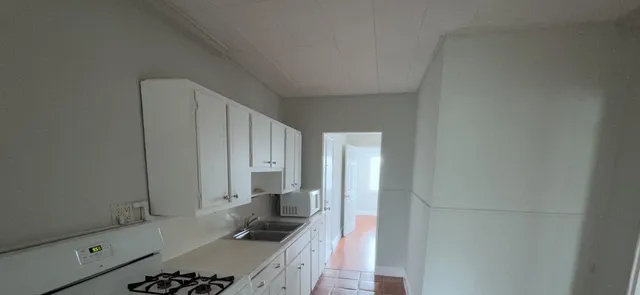 a bathroom with a sink and a shower