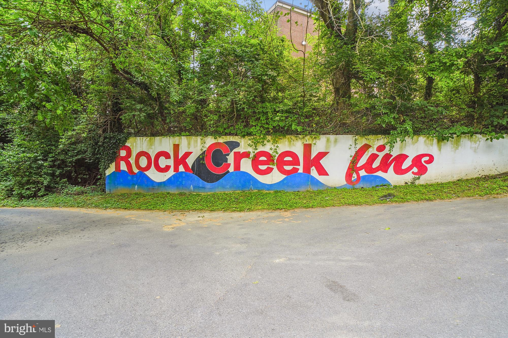 2704 Spencer Road Chevy Chase, MD 20815 - Photo 61 of 76 Swim and Dive Team