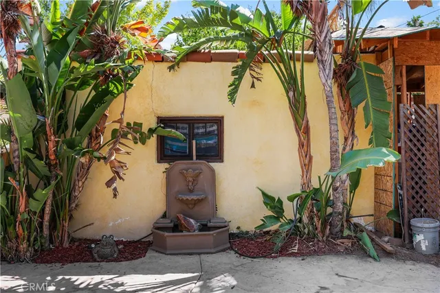 a potted plant sitting in front of a house