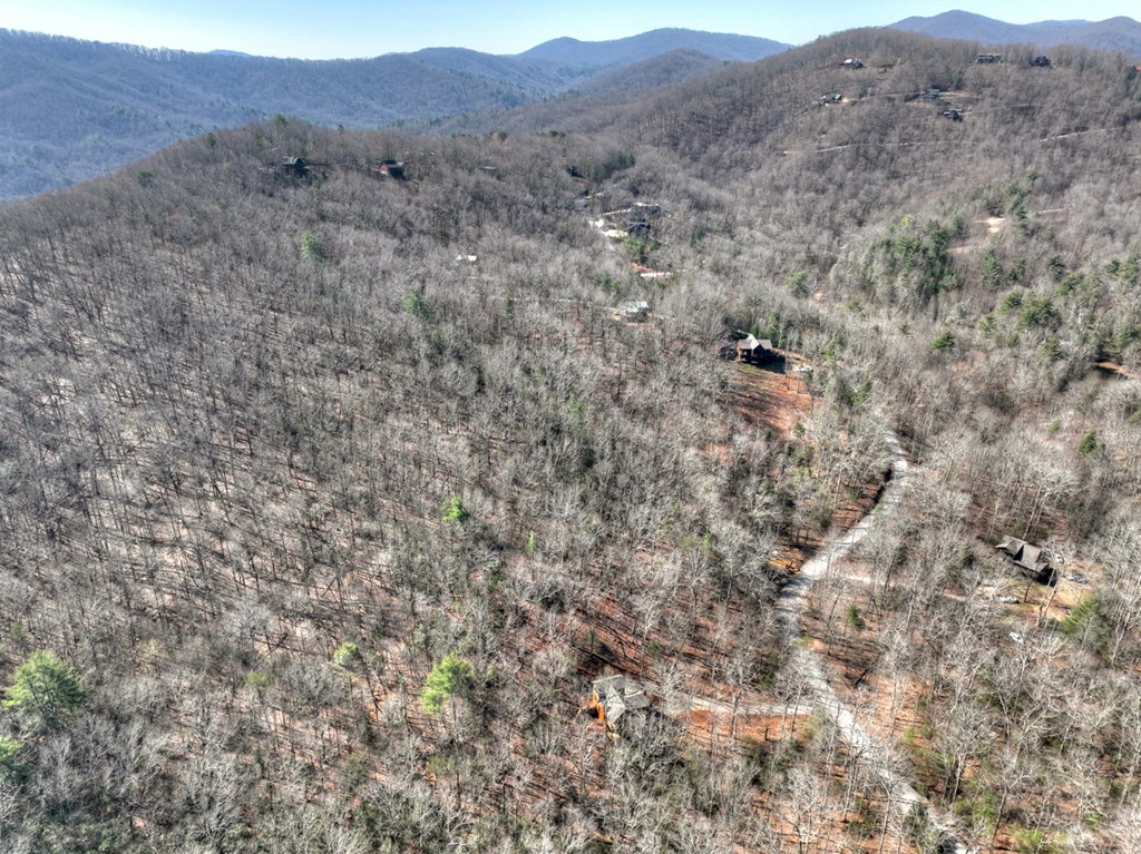 811 Mangum's Trail Blue Ridge, GA 30513 - Photo 57 of 70
