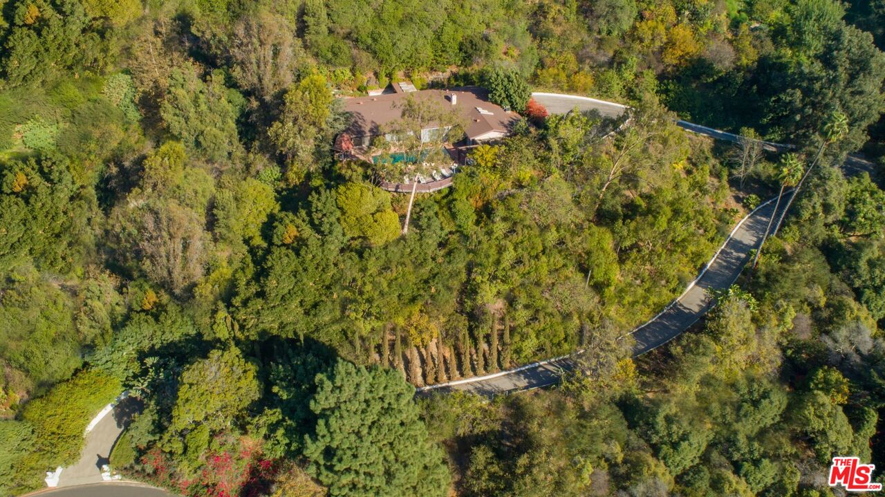 10895 Chalon Road Los Angeles, CA 90077 - Photo 4 of 19 a view of a bunch of plants and trees