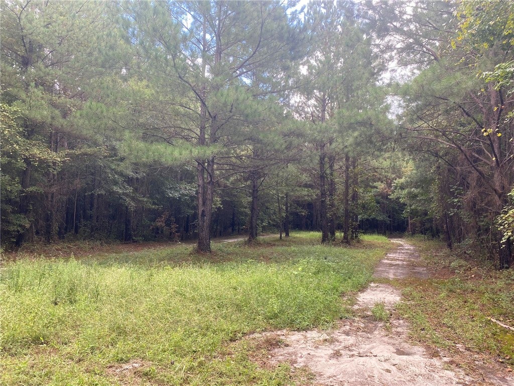 0 Wende Road Hurtsboro, AL 36860 - Photo 11 of 21 Gallery Image 11