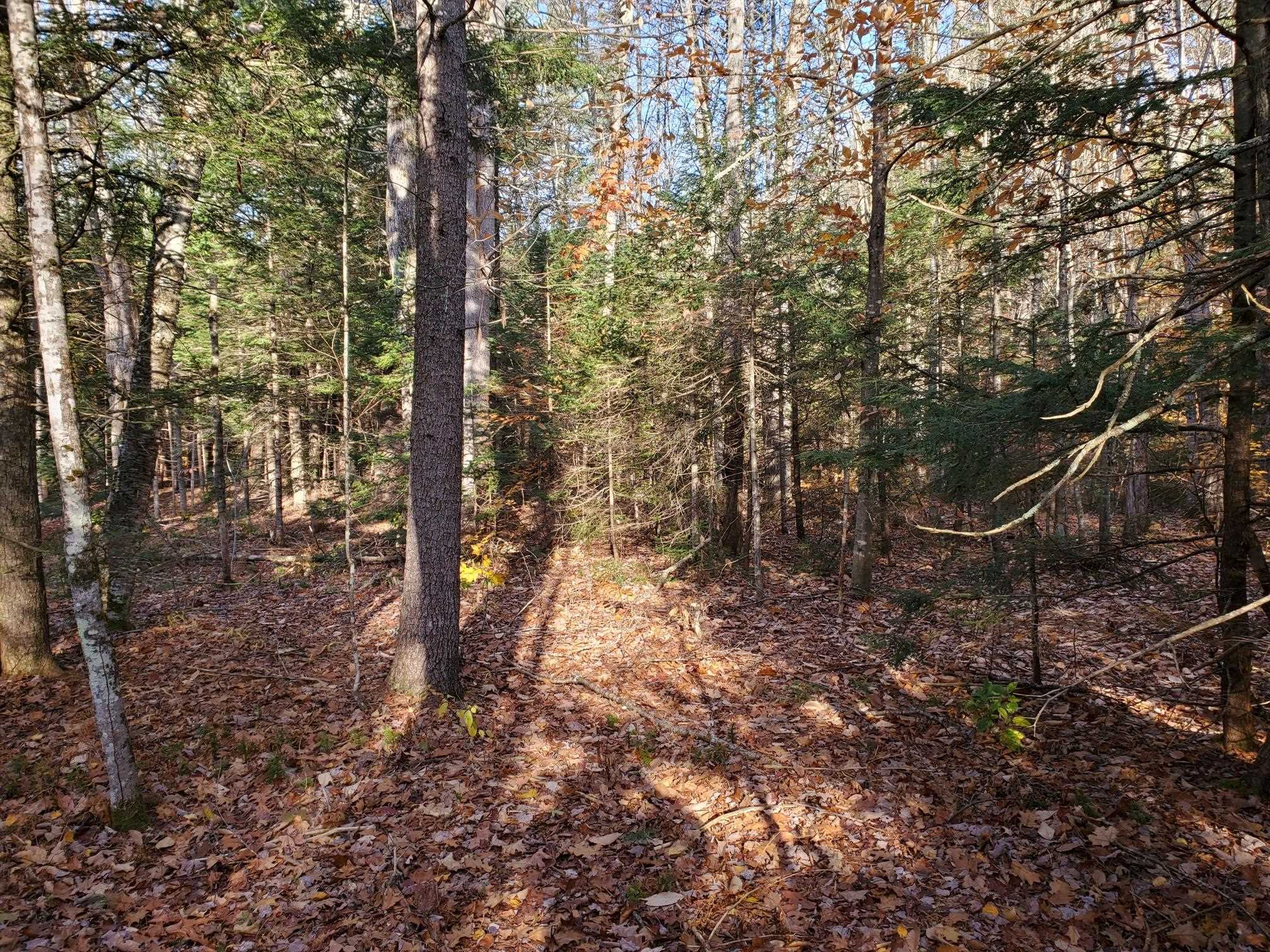 0 Hampshire Road, Unit 7B Brownfield, ME 04010 - Photo 1 of 7 Gallery Image 1