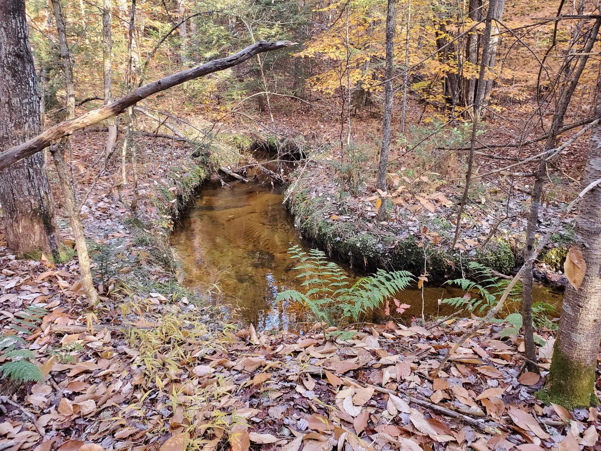0 Hampshire Road, Unit 7B Brownfield, ME 04010 - Photo 3 of 7 Gallery Image 3