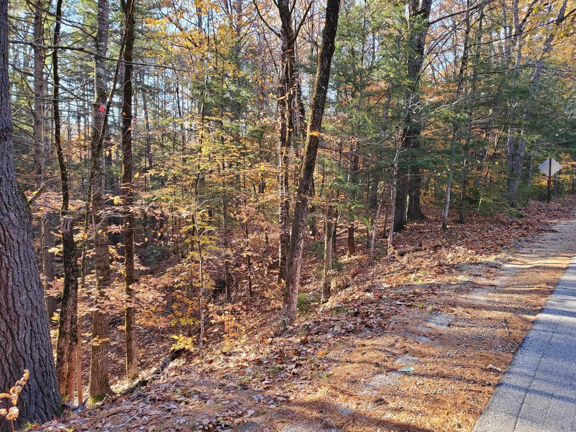 0 Hampshire Road, Unit 7B Brownfield, ME 04010 - Photo 7 of 7 Gallery Image 7
