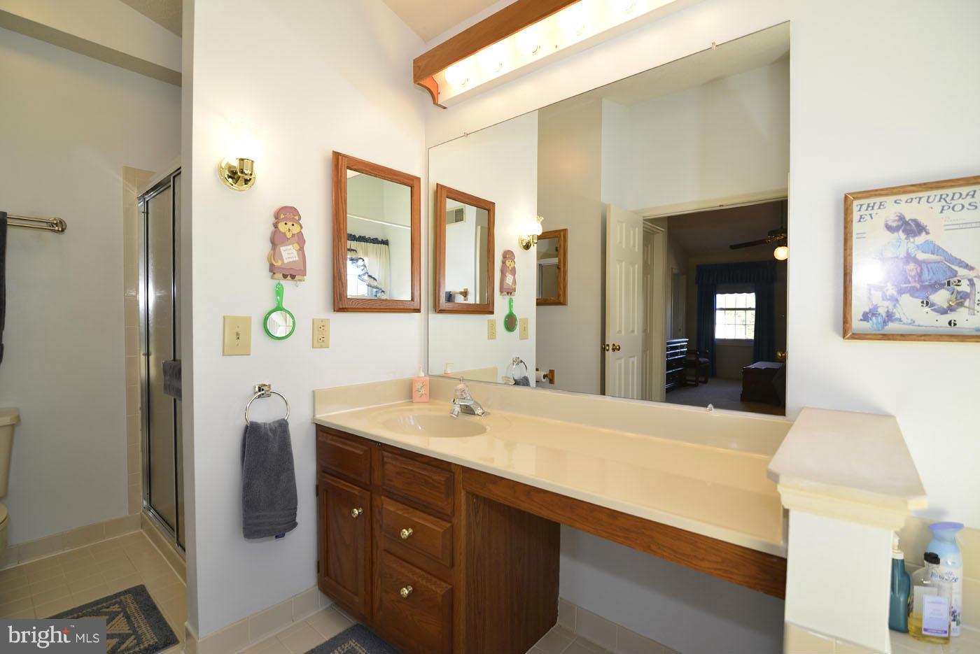 12711 Roark Court Reston, VA 20191 - Photo 17 of 30 Master Bath Shower