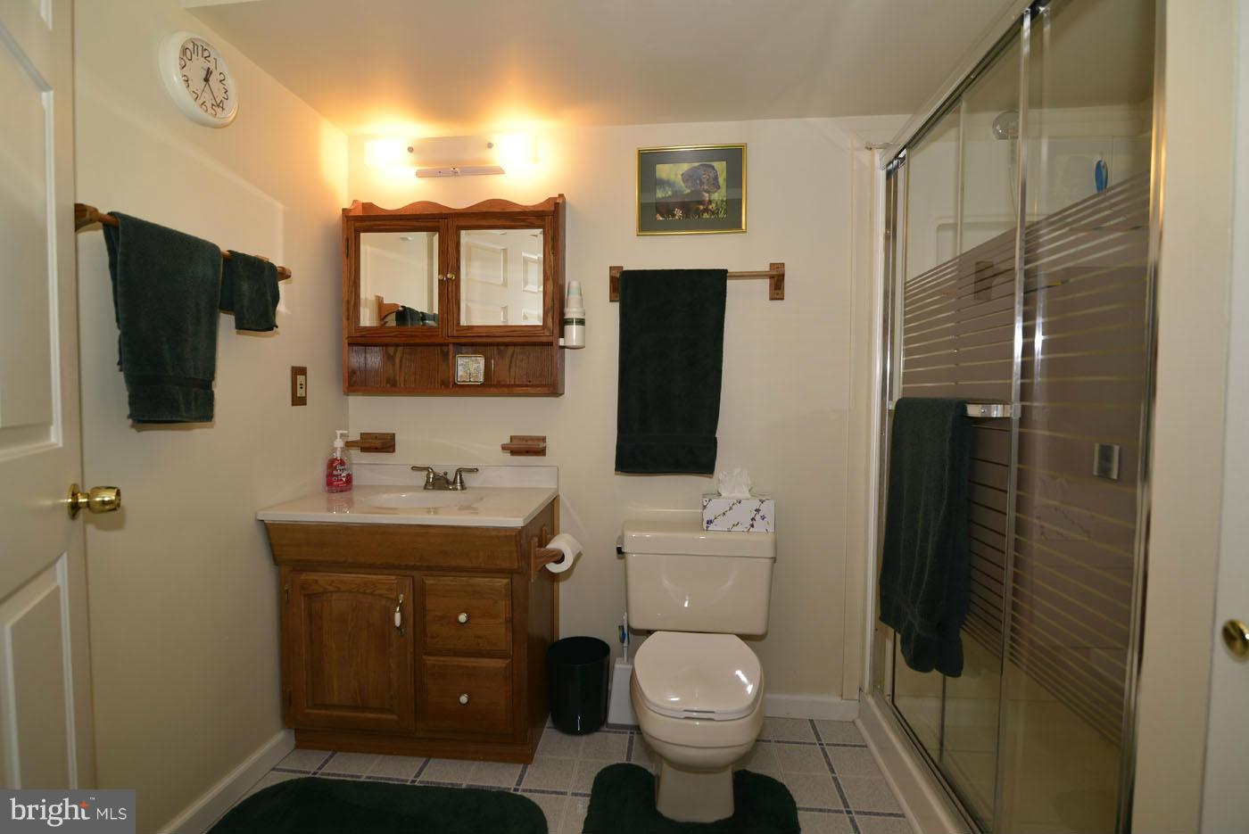 12711 Roark Court Reston, VA 20191 - Photo 25 of 30 Basement Full Bath