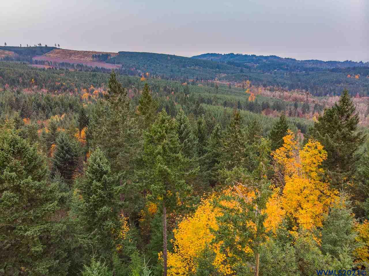 17935 Robb Mill Road Dallas, OR 97338 - Photo 13 of 19 a view of a lush green hillside and a mountain