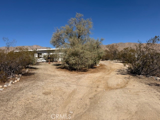 51136 Mecca Road Morongo Valley, CA 92256 - Photo 2 of 12 a view of road with large trees
