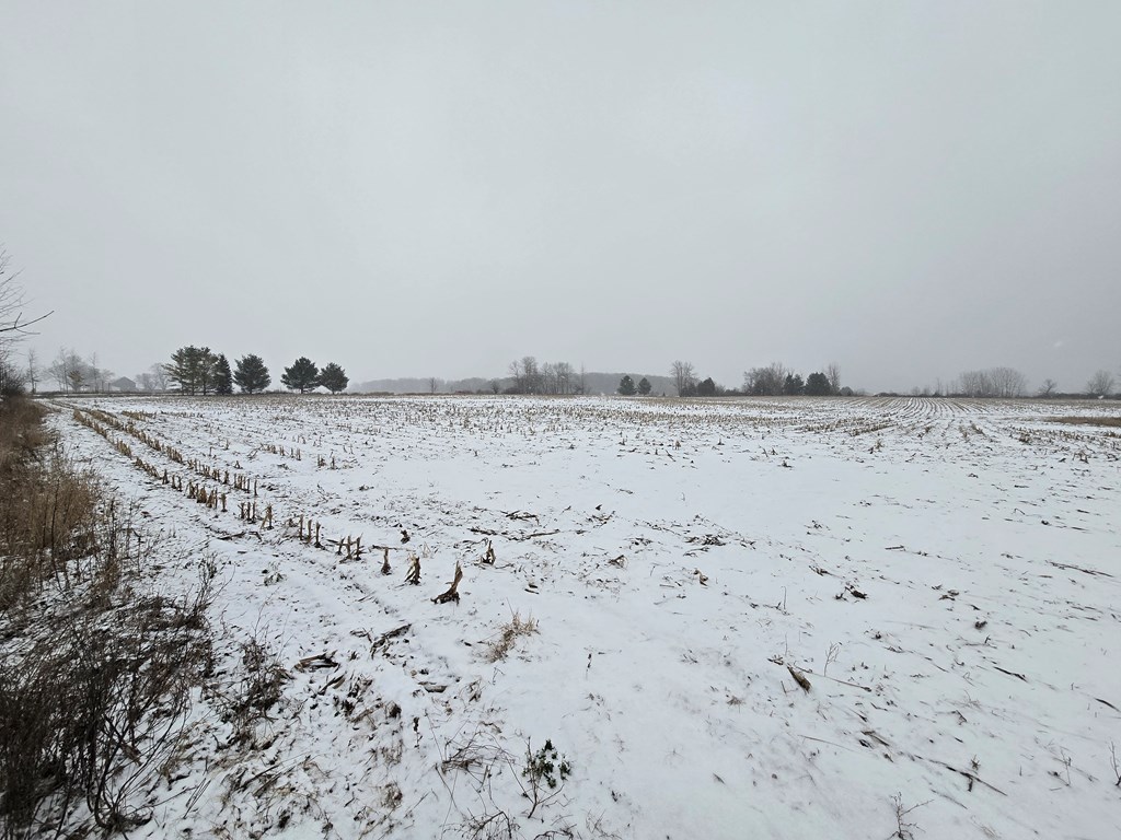 Carnot Road Forestville, WI 54213 - Photo 4 of 7