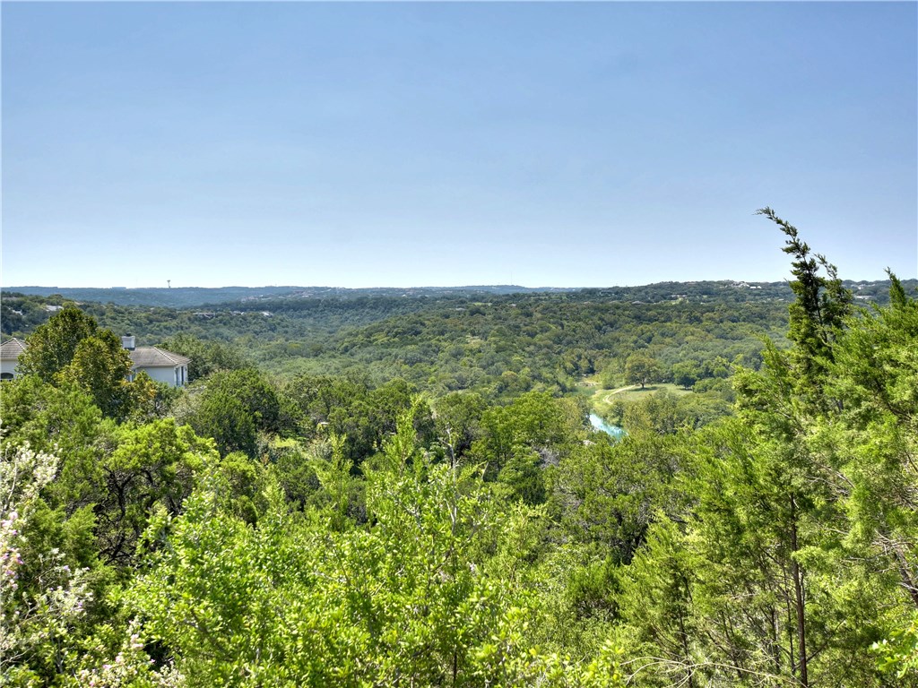 a view of a big yard with lots of green space
