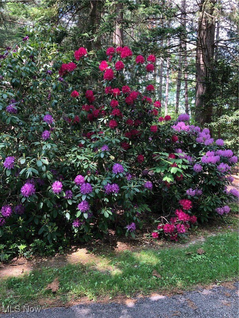 10495 Mulberry Road Chardon, OH 44024 - Photo 45 of 48 plenty of color when in bloom