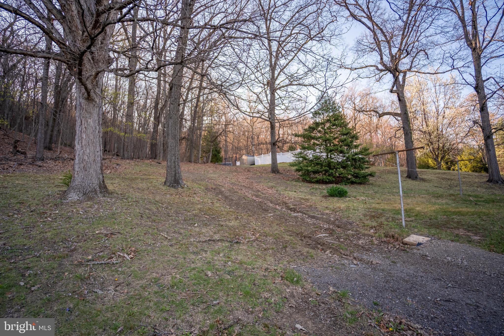 12401 Wright Avenue Cumberland, MD 21502 - Photo 4 of 17 a view of a yard with trees