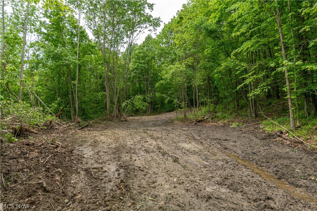 0 Prider Road Kimbolton, OH 43749 - Photo 11 of 23