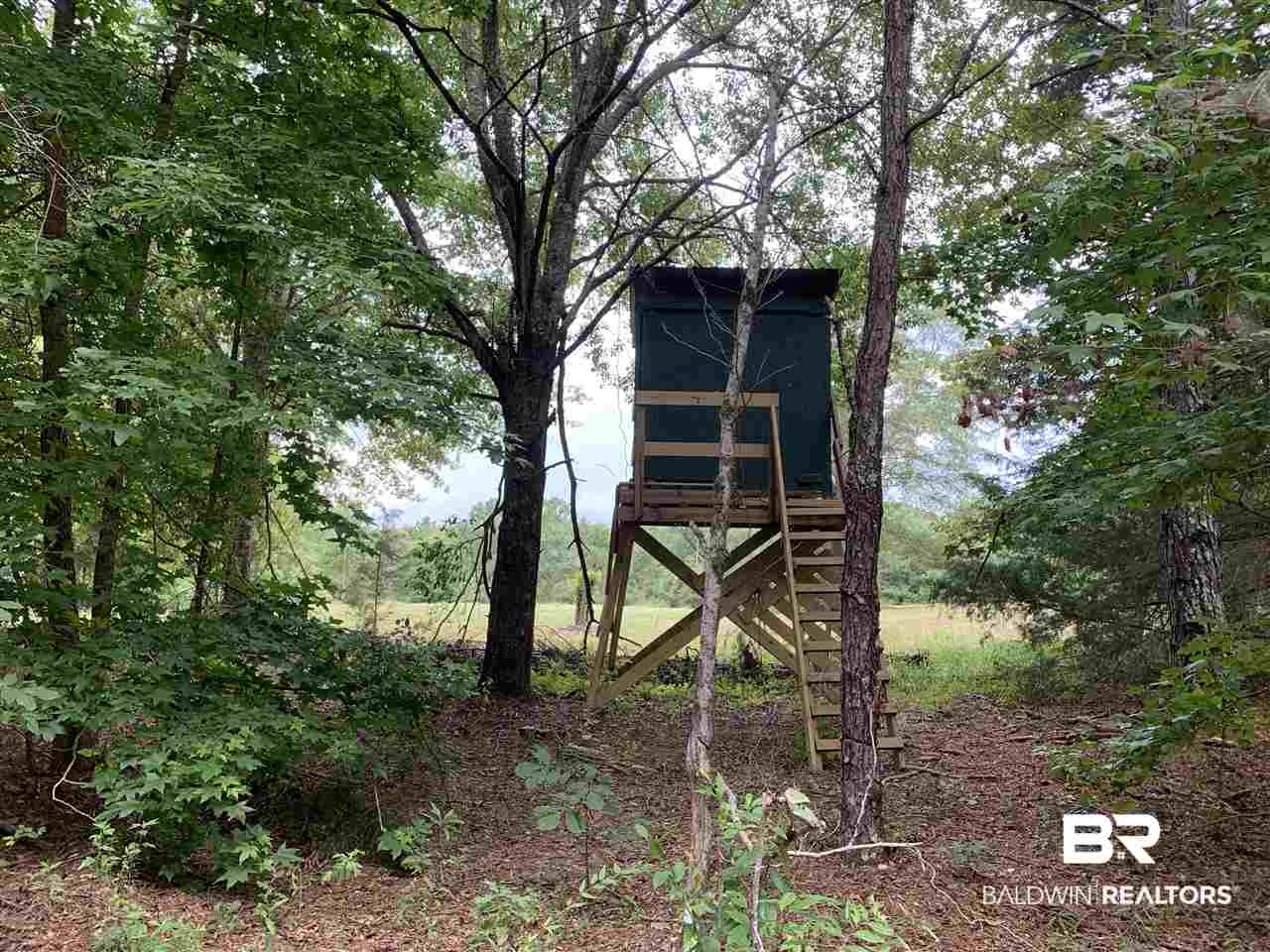 1178 Dry Lake Road Luverne, AL 36049 - Photo 3 of 50
