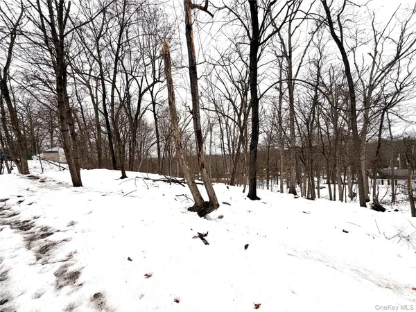 a view of snow on the side of a road