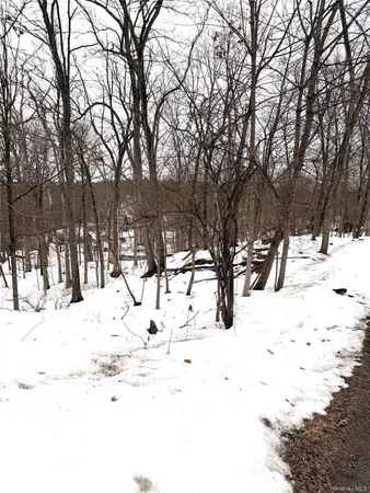 a view of snow covered with trees